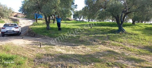 Manisa Saruhanlı Pınarbaşı Köyü Kesik Niteliğinde Satılık Arsa