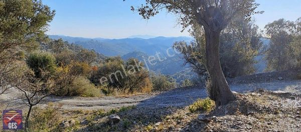 Gödence'de Köye Yakın 9.100m2 Satılık Müstakil Tarla