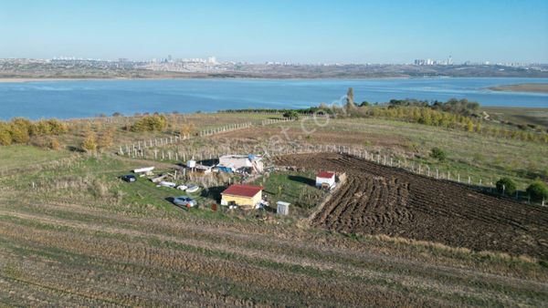 B.çekmece Tepecikte 250m2 İçinde Prefabrik Yapı Ve Çam Ağaçları Etrafı Çevrili Demir Kapılı Arsa