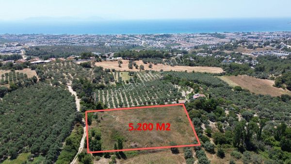 Satılık Arsa Kuşadası Soğucakta Ruhsatlı Projeli Hazır 12 Villalık 5.200m2