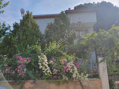 Maydanoz Koyunda 3 Katlı Villa