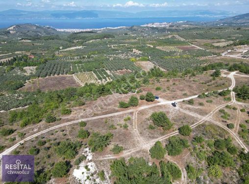 Mudanya'nın Değerlisi Mürsel Köy'de İmar Planlı Arazi