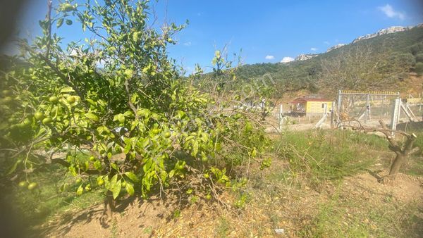 Özdere Cumhuriyet Mahallesi 240 M2 Kooparatif Arsası