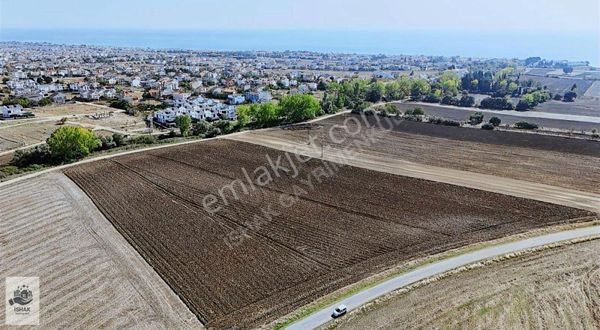 Tekirdağ marmaraereğlisi Çeşmeli mahallesi