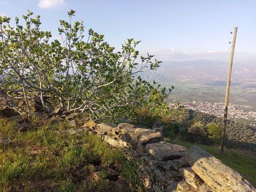 Egelimden Bozdoğan Hıdırbaba Mevki Manzaralı Satılık Arsa