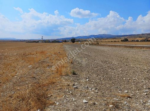 Çıtırık Tan Yenikent İncirlik Te Tek Tapu Yatırımlık Tarla