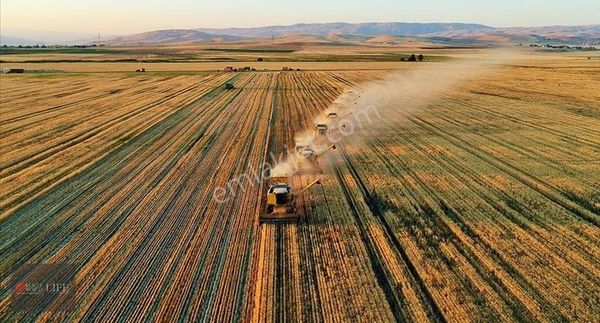 Rw Lıfe // Eskişehir / Bozan / Satılık Tarla