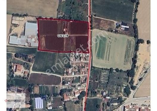 İzmir Ödemiş'te 17.000 M2 Yola Cepheli Satılık Köşe Arsa