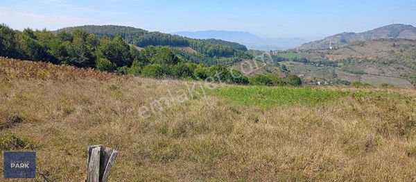 Cb Park Erman Akıncı Canik Avluca 5894m2 Satılık Tarla