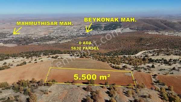 Konya / Ilgın / Mahmuthisar Mahallesinde 5.500 M² Müstakil Tapulu Tarla