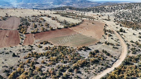 Konya / Ilgın / Mahmuthisar Mahallesinde 7.200 M² Müstakil Tapulu Tarla