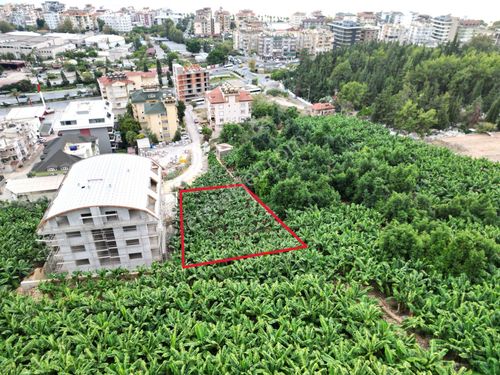 Alanya Dinek Mevkiinde Kiralık 800 M2 İmarlı Arsa