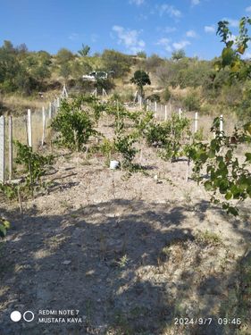 Kutludüğünde Etrafı Telle Çevrili Hisseli Tapulu 399 Metrekare A Satılık Bağ Yola Çok Yakın