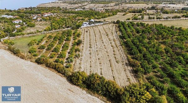 Turyap Metropolden Battalgazi Alişar Köyü 12.617m2 Bakımlı Tarla