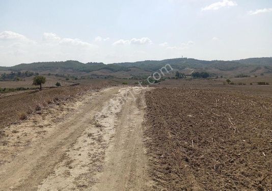 Akkuyu Da Yatırımlık 796 M2 İmara Açılacak Bölge De