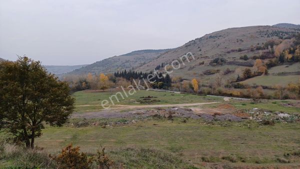 Kocaeli Karamürsel Kızderbent %5 İmarlı 962 M2 Satılık Bahçe