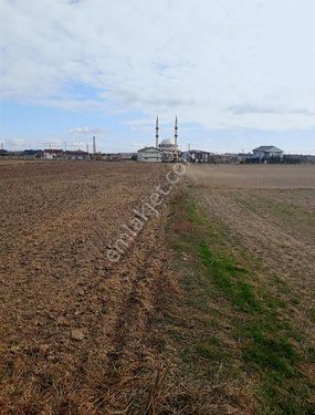 Büyükçavuşlu Da İmar Bitişiği Alt Yapılı Tarla