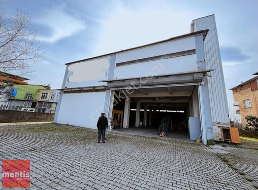 Mentis'ten Çarşamba Dikbıyık'ta Kiralık Soğuk Hava Deposu