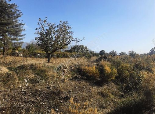 Tavas Kızılcabölük Bağlar Da Pınarlık Yolunda Satılık Bağ Yeri