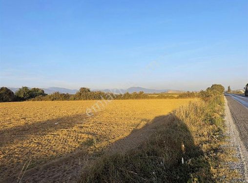 Pek Emlaktan Çok Acil İzmir Tire Asfaltına Sıfır Satılık Tarla