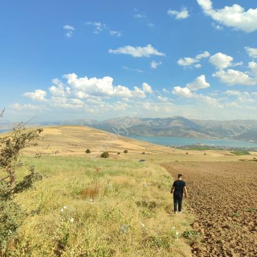 Tatvan Çekmecede Villalık Hobi Bahçesi