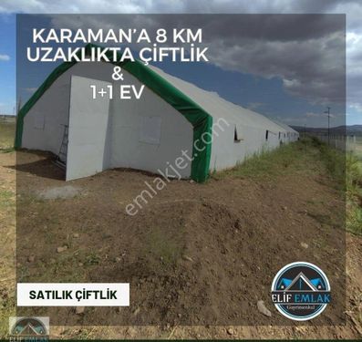 Karaman’a 8 Km Uzaklıkta Fırsat Satılık Çiftlik