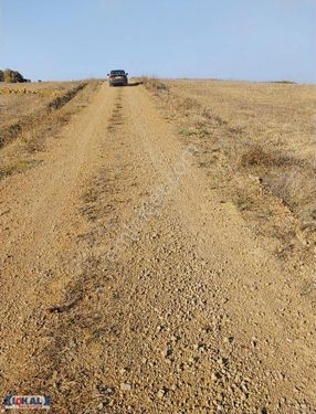 Lokal'den ,kutlucada Merkezi Konumda Satılık Tarla