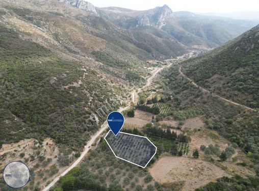 Maki'den Karaburun'da Verimli Mandalina Bahçesi