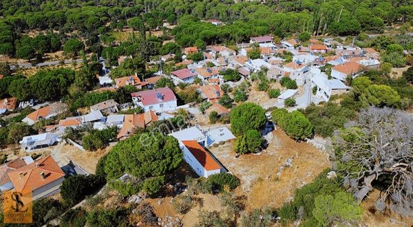 Bergama Demircidere Köyünde Satılık Çiftlik Evi