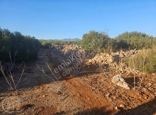 Konyaaltı Üçoluk Ana Cadde Üzerinde Yatırımlık Arazi