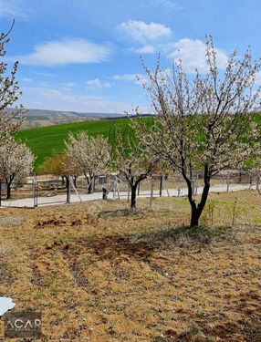 Acar Emlak Tan Doğa İle İç İçe Satılık Hobi Bahçesi