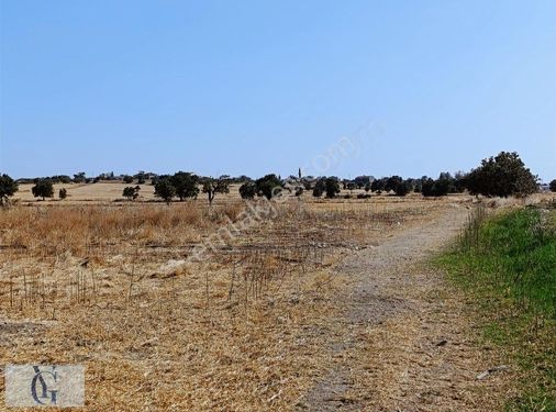 Yağız Gayrimenkulden Satılık Kupon Arazi