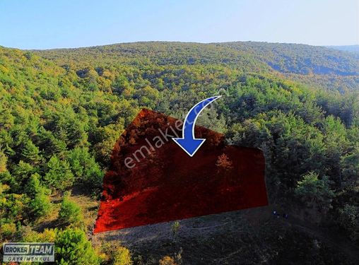 HASANAĞA 4.350 m2 SATILIK ARAZİ 4 HİSSE OLARAK DA ALINABİLİR