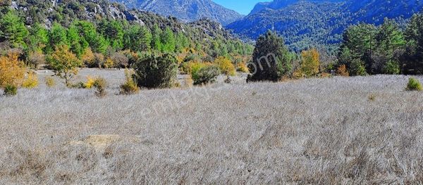 Antalya Akseki Mahmutlu Köyünde Mustakil Tapu Bağ Yerı