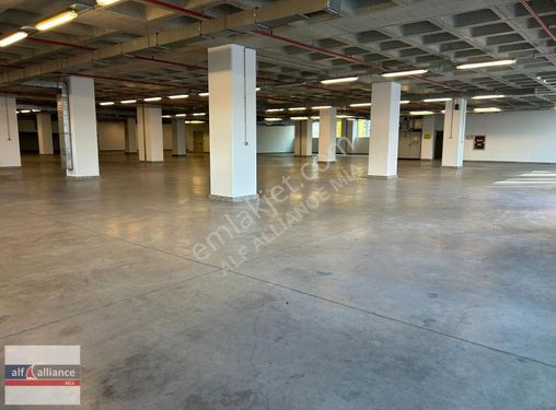 İstoç Karşısı 2.300m2 Düz Giriş İskanlı Kiralık Depo-alfalliance