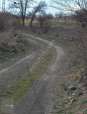 Kurtsoy'dan İncesu'da Konumu Güzel İmarı Yakın Fırsat Bağ