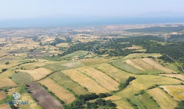 Biga Koruoba Köyü'nde 12.401 M2 Satılık Yatırımlık Fırsat Tarla