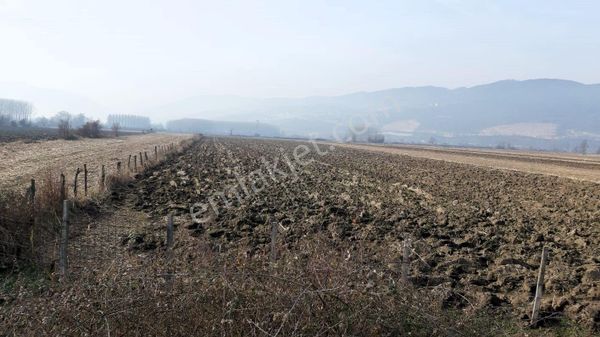 Düzce Gölyaka Esen Mahallesinde Satılık Tarla