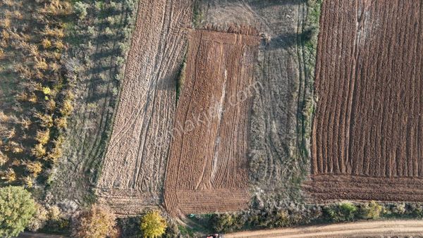 ALTIN EMLAK'tan BURSA YENİŞEHİR EĞERCE KÖYÜNDE YOL KENARI BONCUK GİBİ TARLA