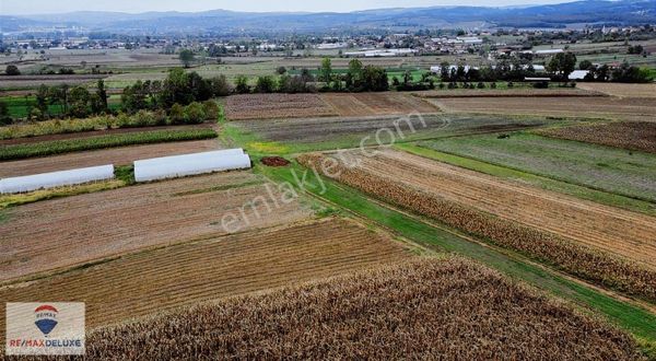 Remax Deluxe'den İzmit Bayraktar'da Satılık Resmi Yollu Arazi