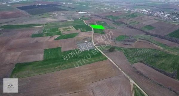 Babaeski Terzili De 1176 M2 Satılık Bağ Yeri