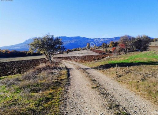 Resmi yol kenarı yatırımlık fırsat !!!