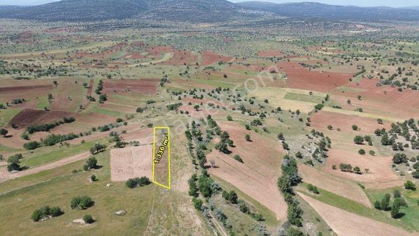 Bozkır Boyalı Da 1.336 M2 Müstakil Tapulu Arazi