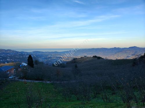 Trabzon Mağmat Mevkiinde Satılık Muhteşem Manzara Ve Konumlu Yatırımık Arazi.