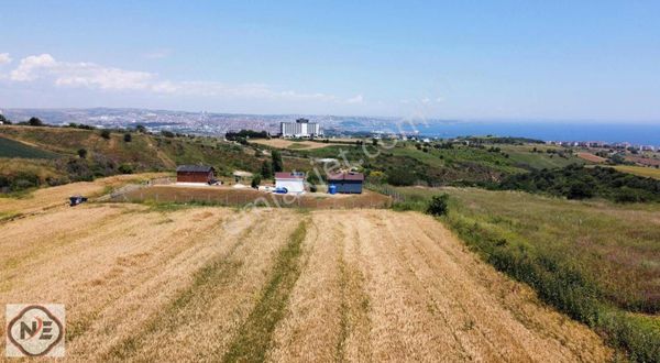 Tekirdağ Barbarosta Kısmen ticari Alan İmarlı