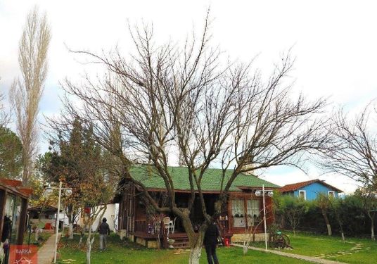 Çiçekli Köy, Doğa, Mehtap, Aşk, İkinci Bahar Sordular Neredesin?