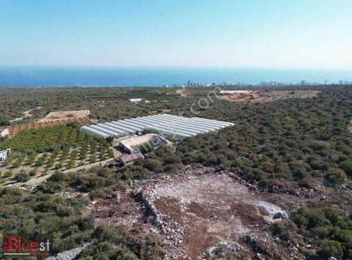 Kumkuyu Merkezde Satılık Full Deniz Manzaralı Villa Parseli