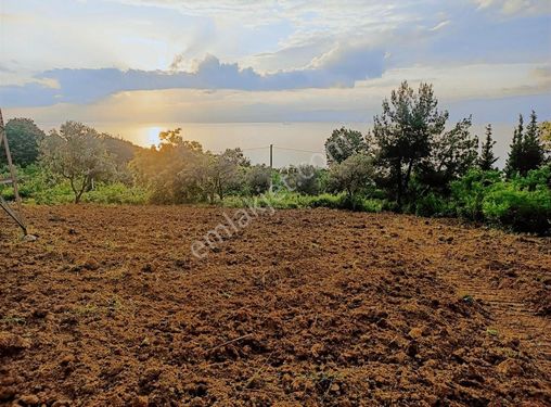 Ulaşlı Da Deniz Manzaralı Arsa