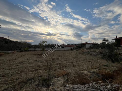 Manisa Alaşehir Alper Gayrimenkulden Killik Mah. 2000m2 Arsa İçi Müstakil Ev 2+1