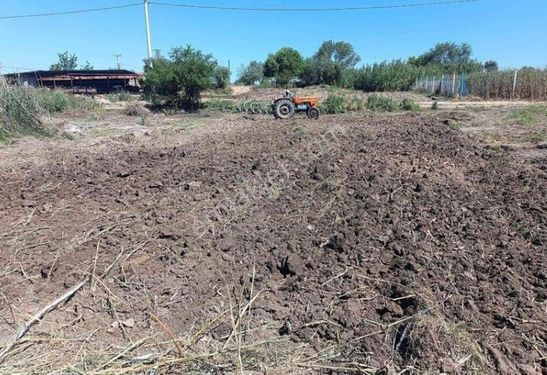 Manisa Akhisar Pınarcık Mahalesinde Hobi Bahcesi